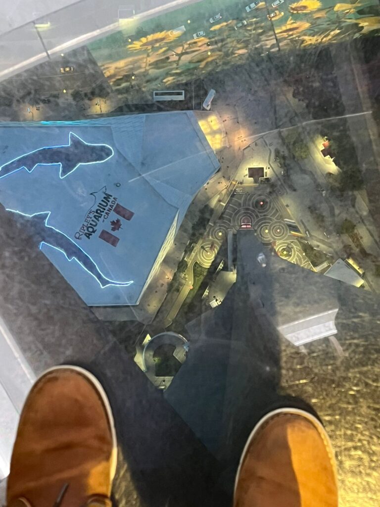 Glass Floor Photo