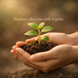 Hands gently holding a small plant symbolising nurturing, care, and growth